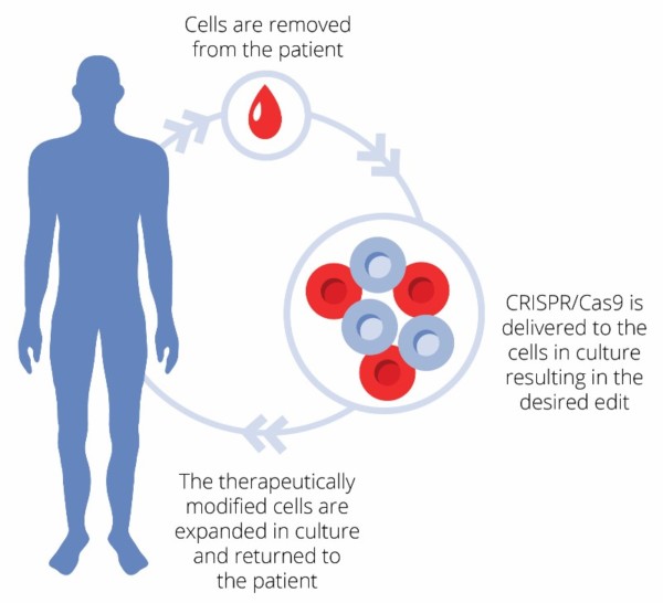 CRISPR-cas9-ex-vivo - Juliaomix